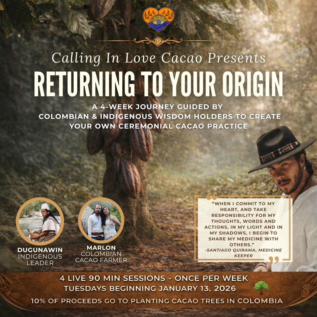 Returning to Your Origin – Cacao Course