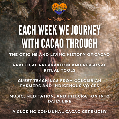 Returning to Your Origin – Cacao Course