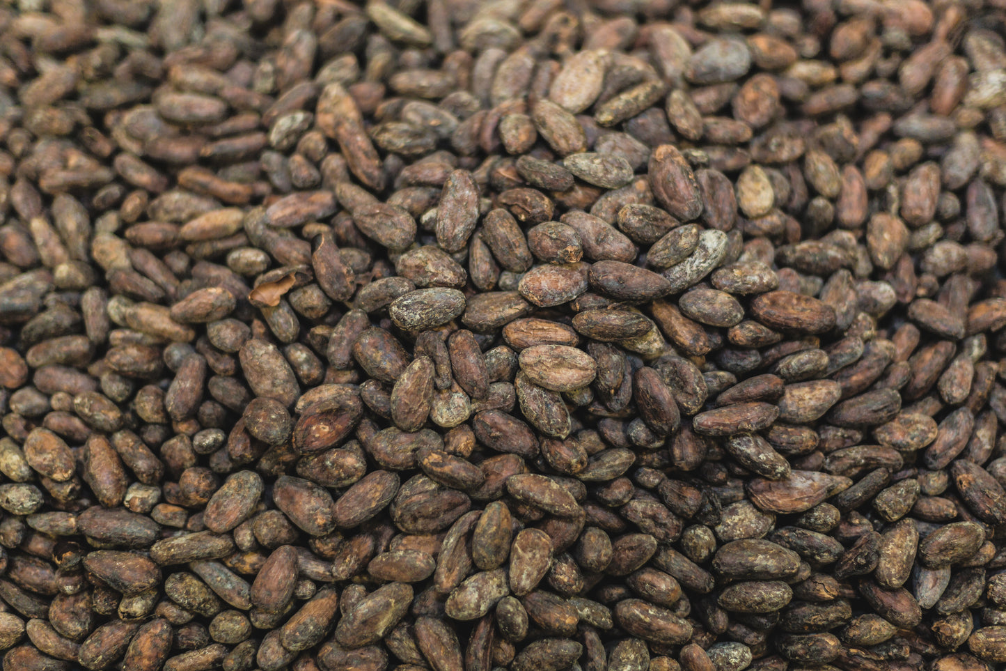 Ceremonial Cacao